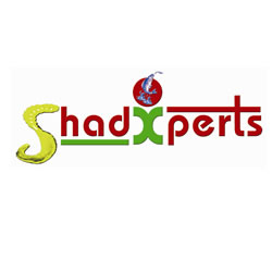 Shadxperts-Logo